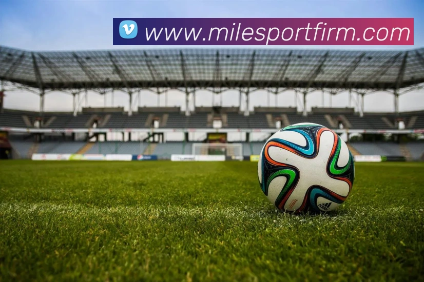 米乐体育APP 封面图